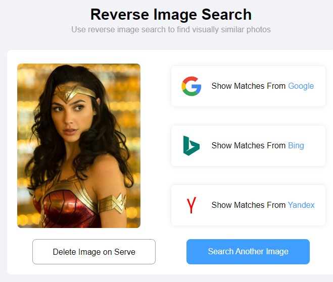 Reverse Image Search